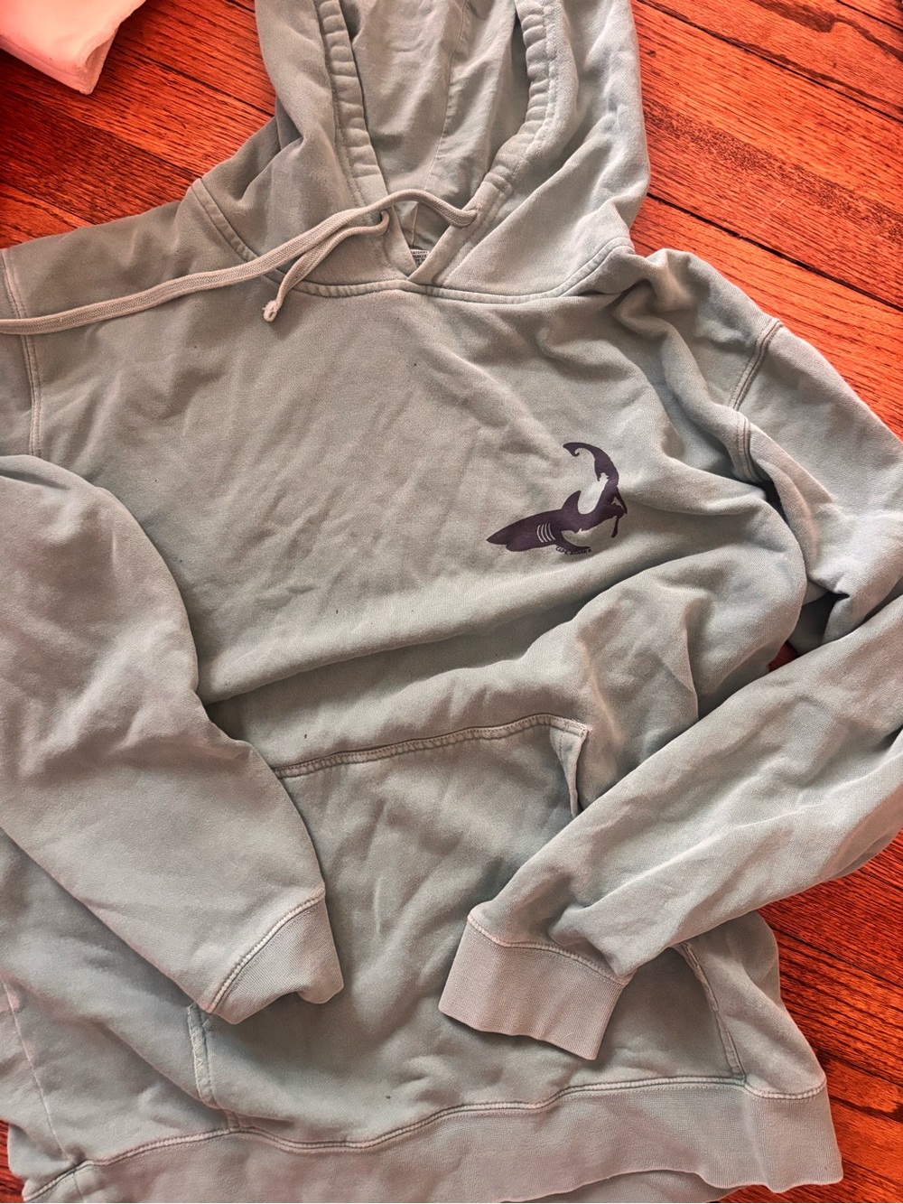 Light Sage Green Hoodie with Shark Graphic